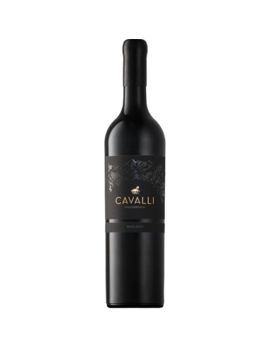 Cavalli Warlord 2021