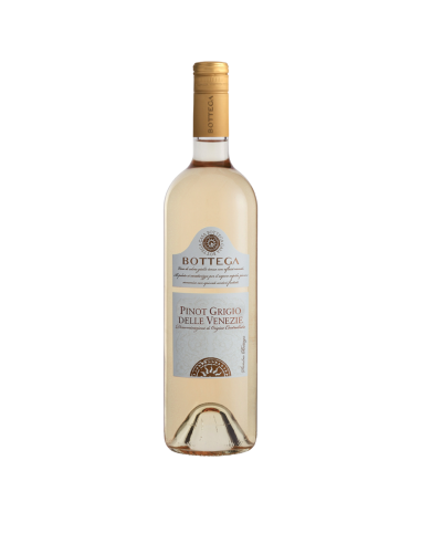 Bottega Pinot Grigio delle Venzie