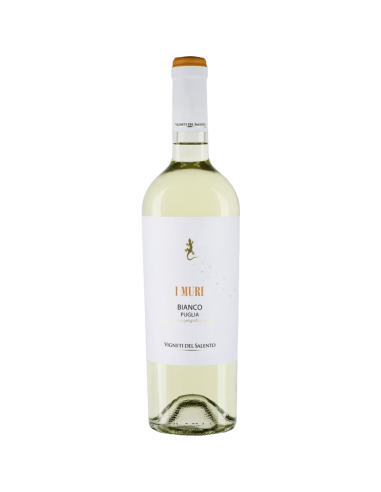 Vigneti del Salento I Muri Bianco 2023