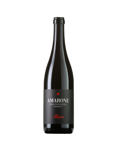 Allegrini Amarone della Valpolicella Classico 2020